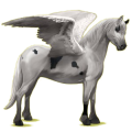 Pegasus-Pony Quarter Pony Rappe mit Overo-Scheckung