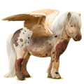 Pegasus-Pony Shetlandpony Palomino