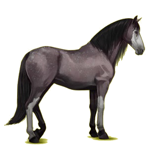 Pegasus-Reitpferd Andalusier Hellgrau