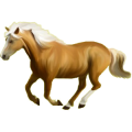 Pony Haflinger Palomino