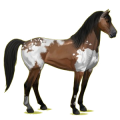 Reitpferd Hellgrau