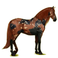 Reitpferd Andalusier Hellgrau