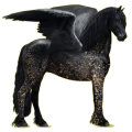 Pegasus-Reitpferd Friese Rappe