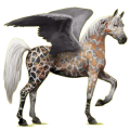 Pegasus-Reitpferd Araber Rappe