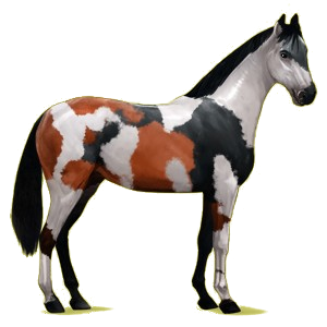 Reitpferd Hannoveraner Fuchs