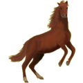 Reitpferd Mustang Hellgrau