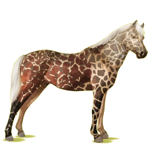 Pony Deutsches Reitpony Rappe