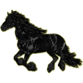 Reitpferd Friese Rappe