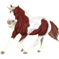 Einhorn-Reitpferd Marwari Fuchs mit heller Mähne