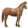 Reitpferd Paint Horse Rappe mit Overo-Scheckung