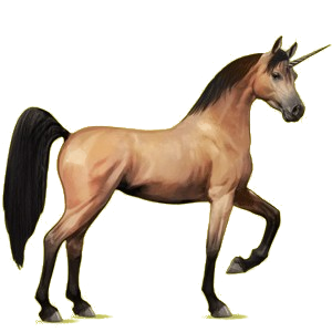 Einhorn-Reitpferd Araber Strawberry Roan