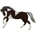 Reitpferd Friese Rappe
