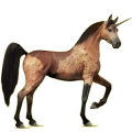 Einhorn-Reitpferd Araber Brauner