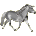 Einhorn-Pony Welsh Cob Apfelschimmel