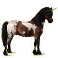 Einhorn-Pony Neufundland Pony Brauner