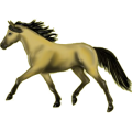 Pony Haflinger Fuchs mit heller Mähne