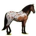 Reitpferd Hellgrau