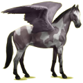 Pegasus-Reitpferd Deutsches Reitpferd Apfelschimmel