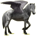 Pegasus-Reitpferd Isländer Apfelschimmel