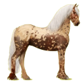 Reitpferd Friese Rappe