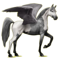 Pegasus-Reitpferd Araber Apfelschimmel