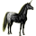 Einhorn-Reitpferd Araber Rappe