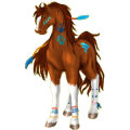 Reitpferd Deutsches Reitpferd Dunkelbrauner