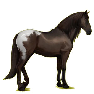 Pegasus-Reitpferd Andalusier Rappe