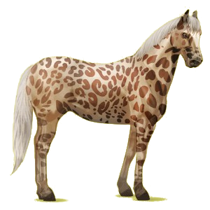 Reitpferd Paint Horse Brauner mit Tobiano-Scheckung