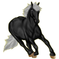 Pegasus-Reitpferd Trakehner Brauner