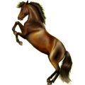 Reitpferd Paint Horse Fuchs mit Tobiano-Scheckung