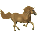 Pony Welsh Cob Rotbrauner