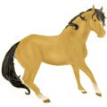 Reitpferd Hannoveraner Falbe