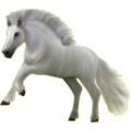 Reitpferd Andalusier Apfelschimmel