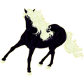 Reitpferd Paint Horse Rappe mit Overo-Scheckung