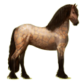 Reitpferd Friese Rappe