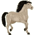 Reitpferd Araber Falbe