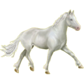 Pegasus-Reitpferd Lipizzaner Apfelschimmel