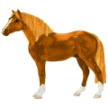 Reitpferd Holsteiner Fuchs
