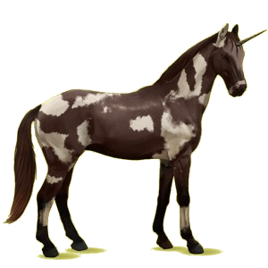 Einhorn-Reitpferd Oldenburger Dunkelbrauner