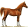 Pegasus-Reitpferd Andalusier Cremello