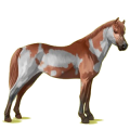 Pony Fuchs