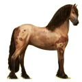 Reitpferd Friese Rappe