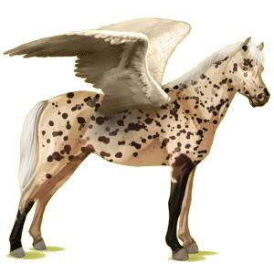 Pegasus-Pony Deutsches Reitpony Palomino