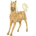 Pony Welsh Cob Palomino