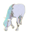 Pony Quarter Pony Rotbrauner
