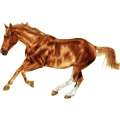 Pegasus-Reitpferd Don-Pferd Fuchs