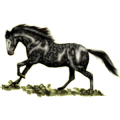 Pegasus-Reitpferd Araber Apfelschimmel