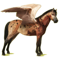 Pegasus-Pony Deutsches Reitpony Strawberry Roan