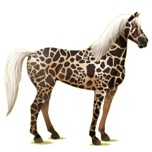 Reitpferd Mustang Roan